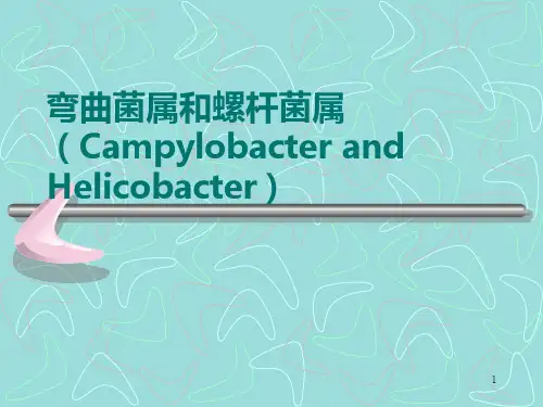 弯曲菌属和螺杆菌属PPT课件