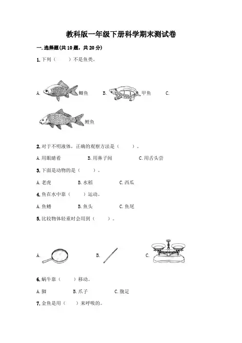 教科版一年级下册科学期末测试卷及参考答案(完整版)