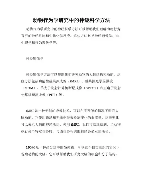 动物行为学研究中的神经科学方法