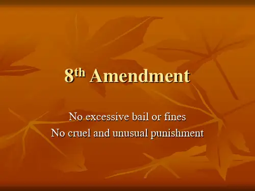 8th Amendment第八条修正案
