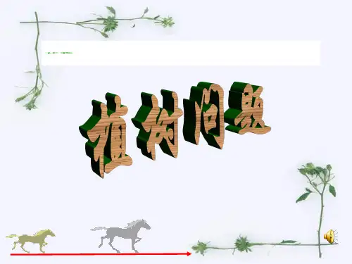 植树问题(课件)