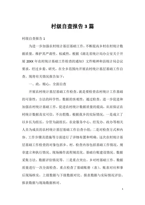 村级自查报告3篇
