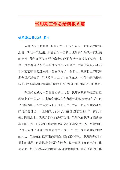 试用期工作总结模板6篇