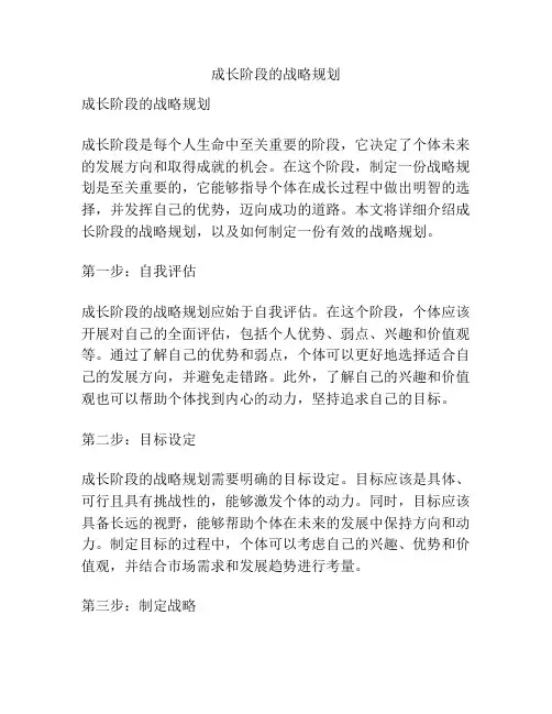 成长阶段的战略规划