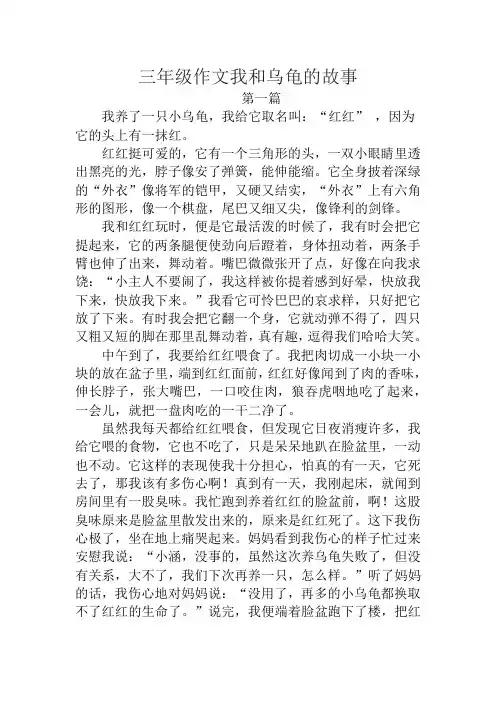 三年级作文我和乌龟的故事