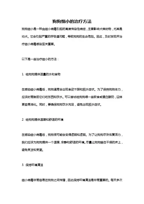 狗狗细小的治疗方法