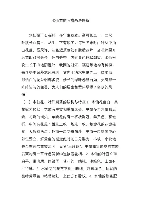 水仙花的写意画法解析