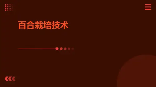 百合栽培技术
