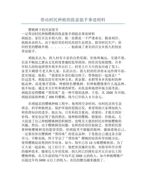 带动村民种植的致富能手事迹材料