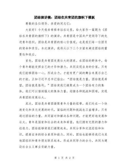 团结演讲稿：团结在共青团的旗帜下模板