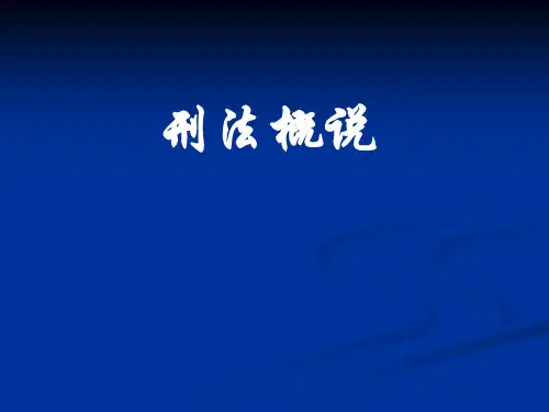 刑法的解释
