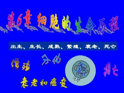 6[1].1 细胞的增殖 课件(人教版必修一)