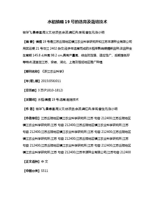 水稻镇糯19号的选育及栽培技术
