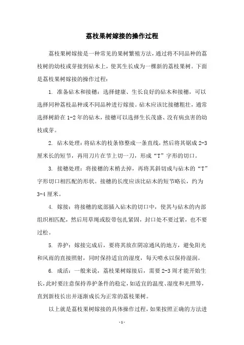 荔枝果树嫁接的操作过程