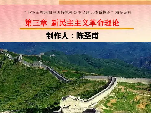 毛概学习第十三章