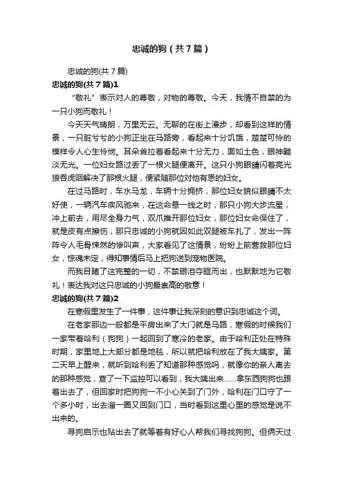 忠诚的狗（共7篇）