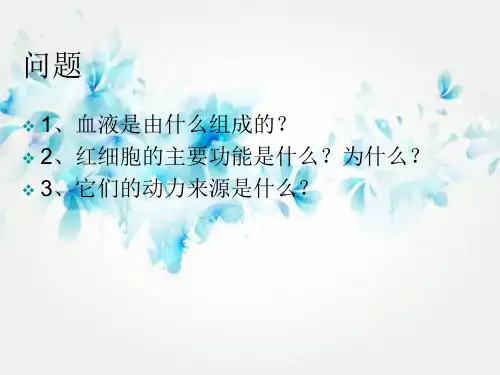 心脏PPT教学课件