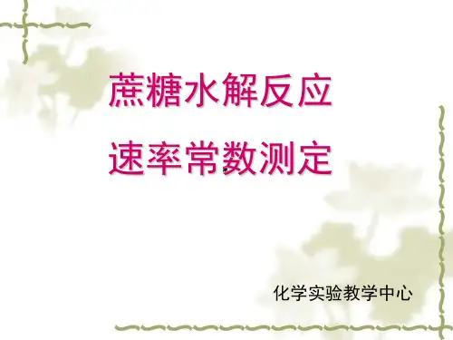 蔗糖水解反应