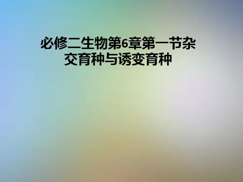 必修二生物第6章第一节杂交育种与诱变育种
