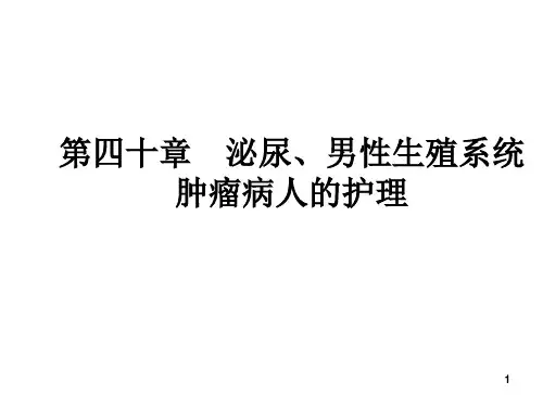 泌尿男性生殖系统肿瘤病人的护理ppt课件