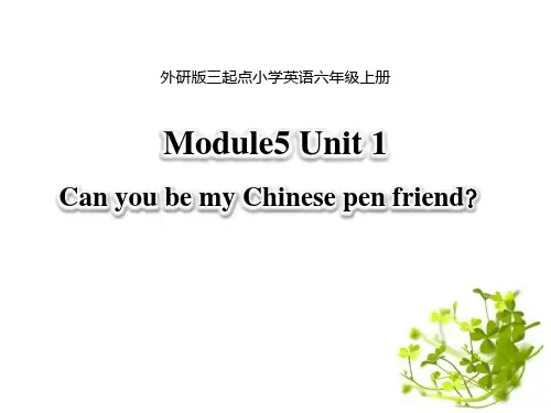 外研版六年级英语上册Can you be my Chinese pen friend课件