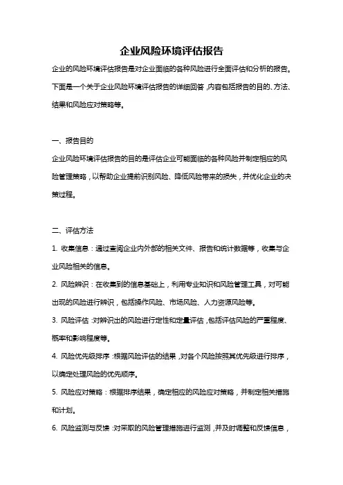 企业风险环境评估报告