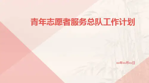 青年志愿者服务总队工作计划PPT