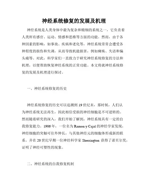 神经系统修复的发展及机理
