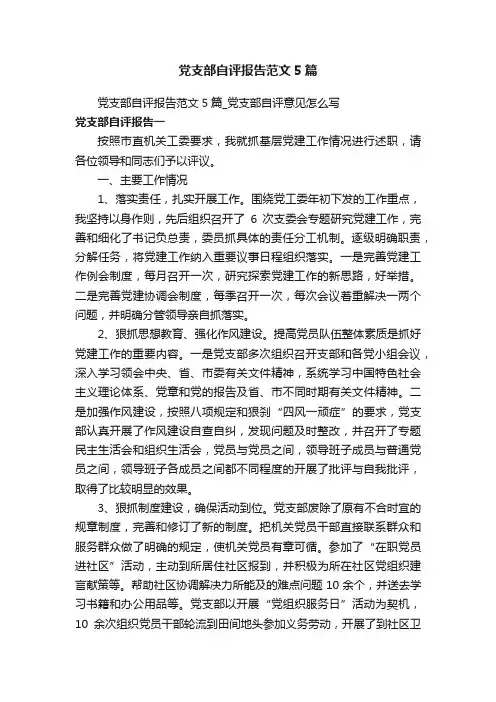 党支部自评报告范文5篇