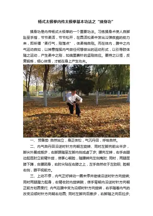 杨式太极拳内传太极拳基本功法之“揉身功”
