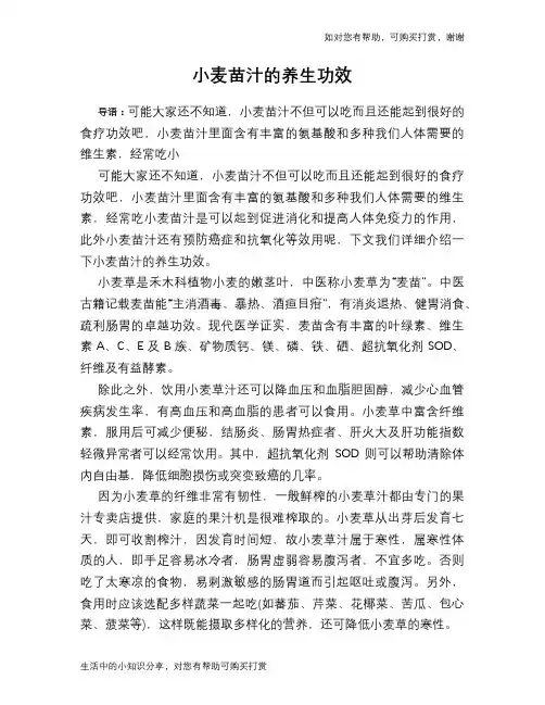 小麦苗汁的养生功效