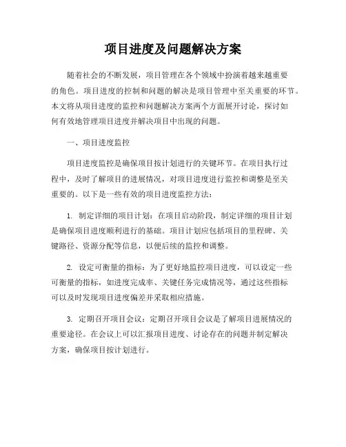 项目进度及问题解决方案