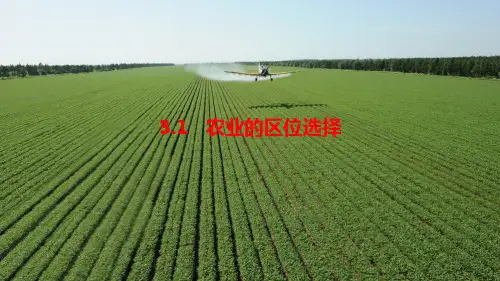 课件11：3.1 农业的区位选择
