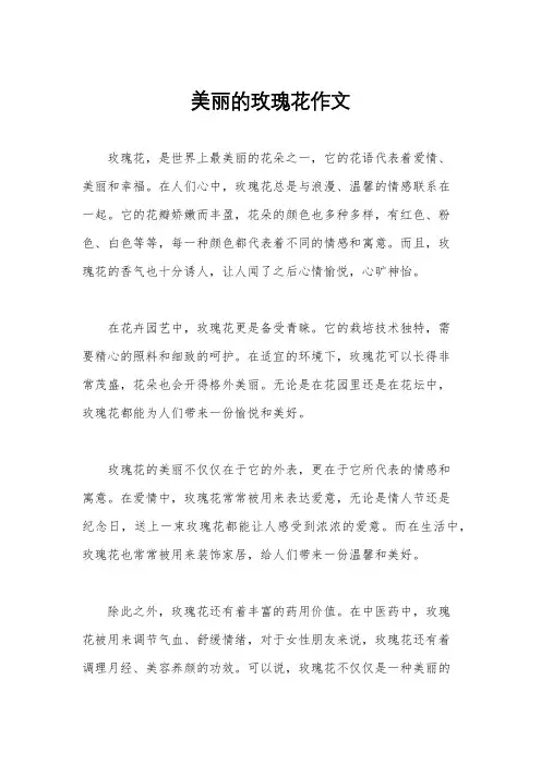 美丽的玫瑰花作文