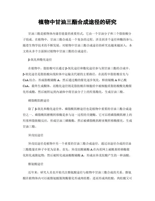 植物中甘油三酯合成途径的研究