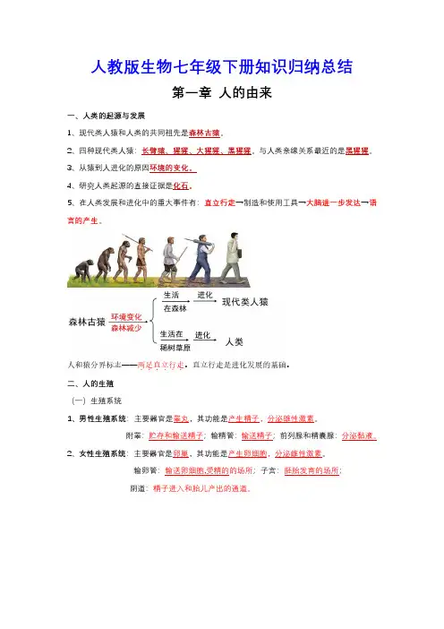 7年级下册生物章节知识总结(人教版)背诵版 (23页)