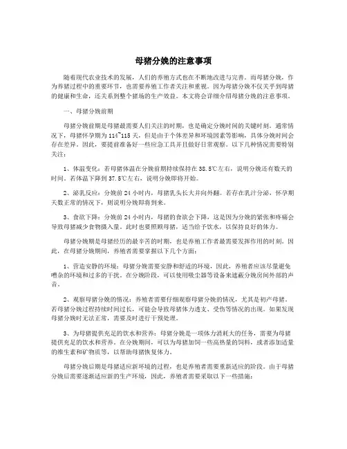 母猪分娩的注意事项