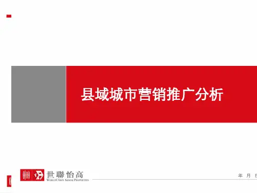 世联-某县域项目推广方案-房地产人士必看