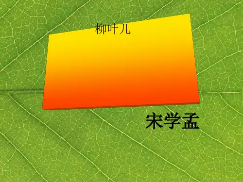 《柳叶儿》PPT课件(上课用)