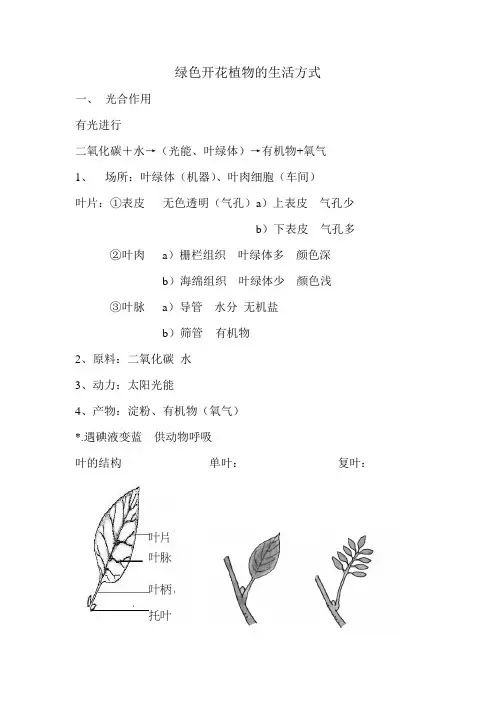 绿色开花植物的生活方式 详细【doc】