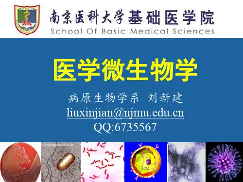 动物源性细菌