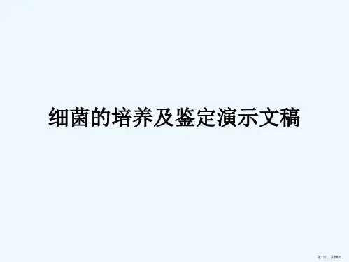 细菌的培养及鉴定演示文稿