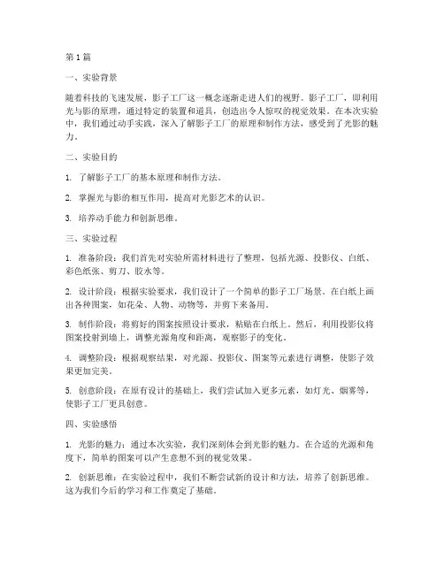 影子工厂实验报告心得(3篇)