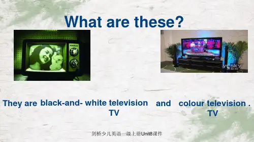 剑桥少儿英语一级上册Unit8课件