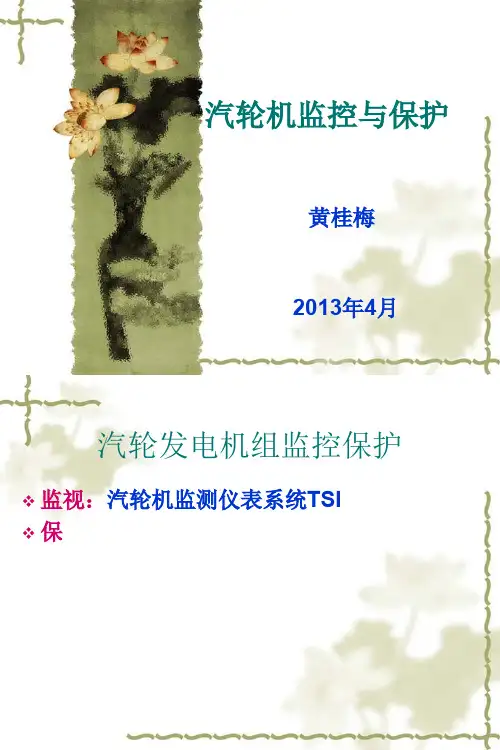 PM_1-汽轮机监测系统TSI