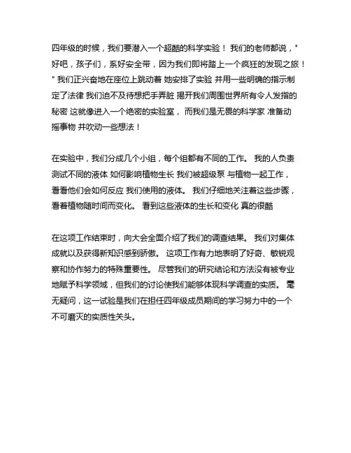 四年级那是一次____的尝试作文教案