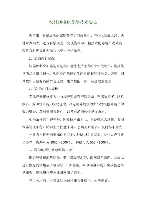 农村规模化养鹅技术要点