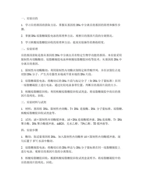 目的基因获取实验报告