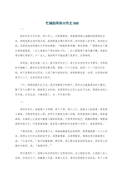 忙碌的双休日作文500