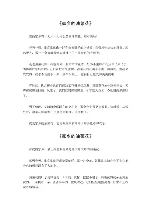 家乡的油菜花写一段话